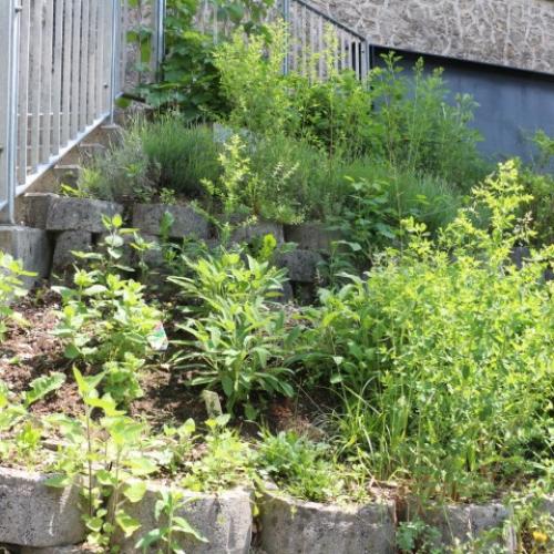 Kräutergarten