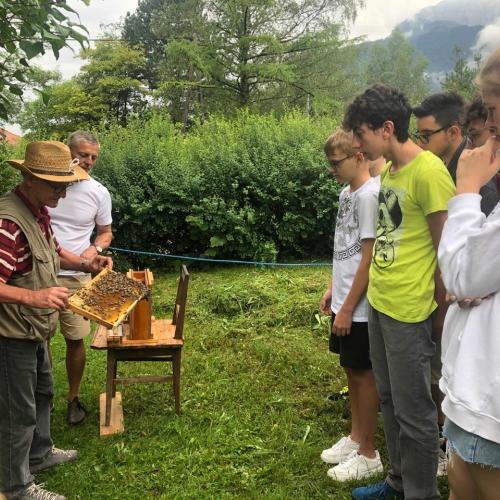 Bienenexkursion7