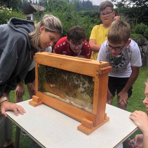 Bienenexkursion9