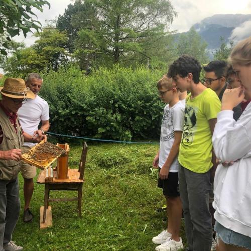 Bienenexkursion1