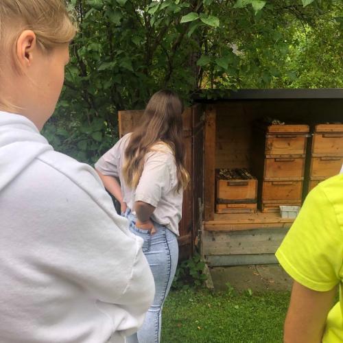 Bienenexkursion3