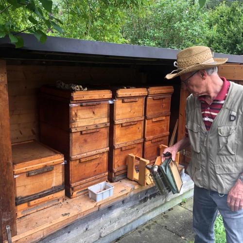 Bienenexkursion6