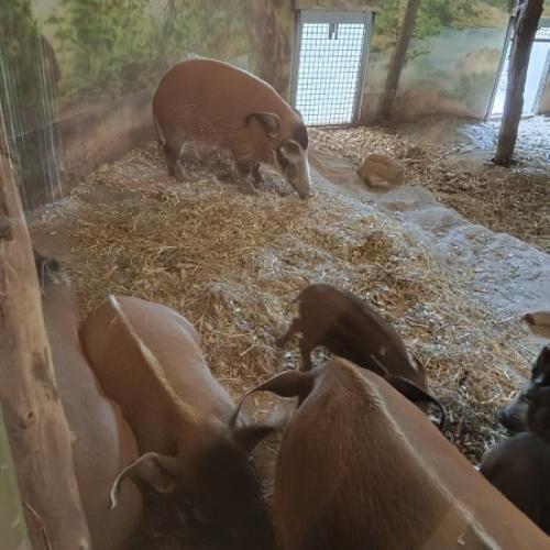Zoo Salzburg