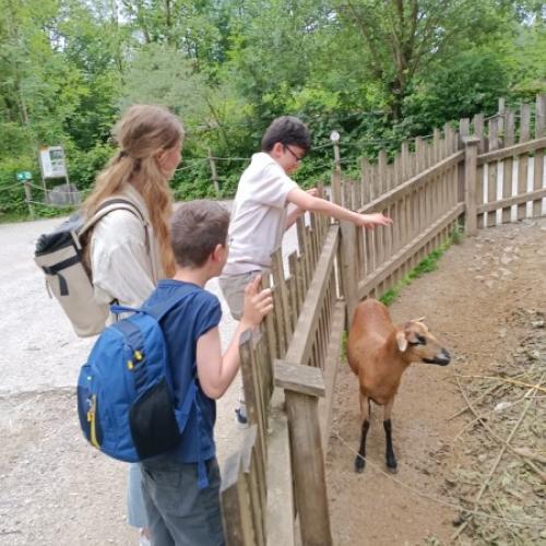 Zoo Salzburg 12