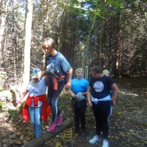 Im Wald