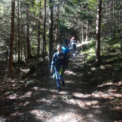 Im Wald unterwegs