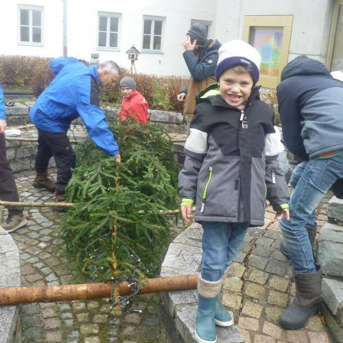 Christbaum im Schulhof aufstellen