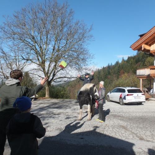 Ballwurf