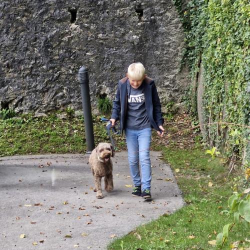 Schulhund Charly