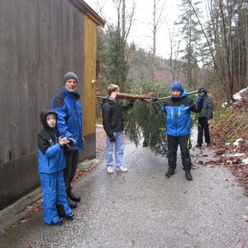 Wieder aus dem Wald herausgekommen