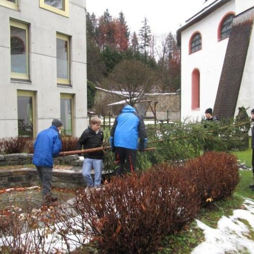 Aufstellen des Christbaumes