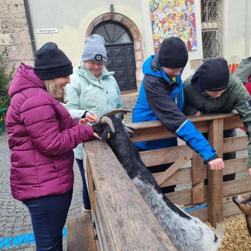 Besuch beim Haller Weihnachtsmarkt