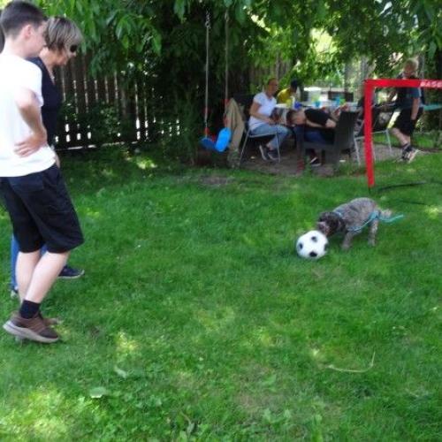Fußball mit Kaju