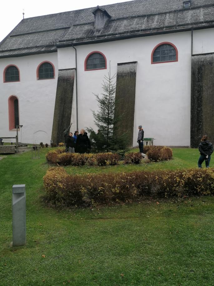 Christbaum holen