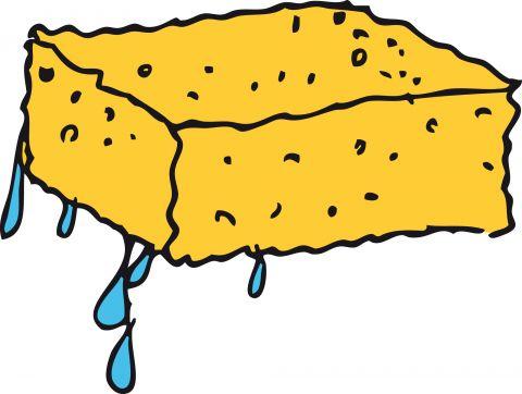 24705.jpg