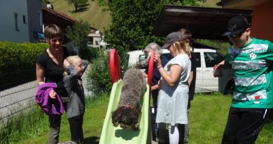 Caillou auf der Rutsche
