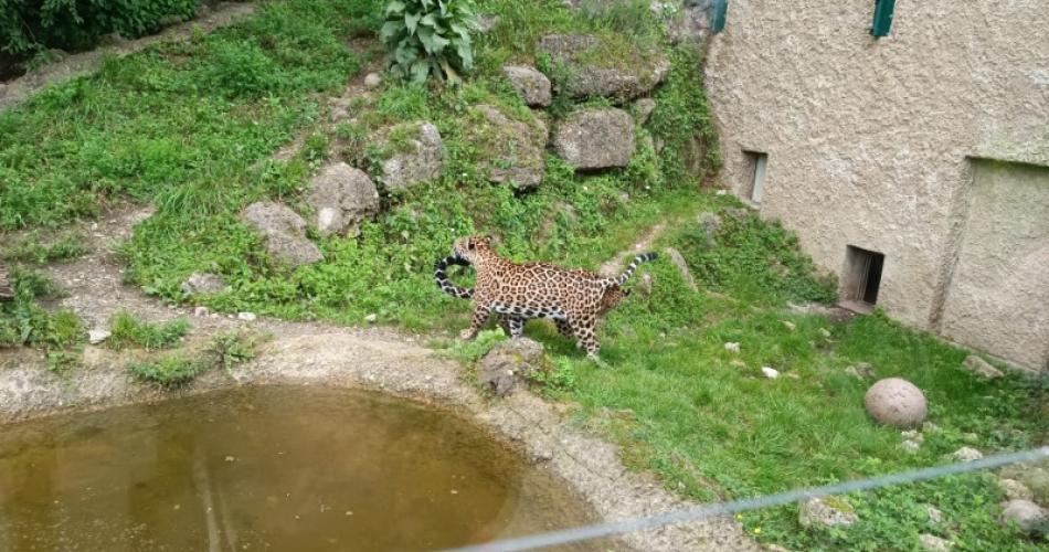 ZooSalzburg