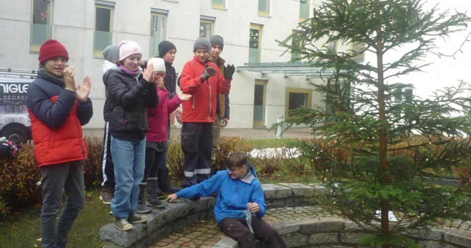aufgestellter Baum im Schulhof