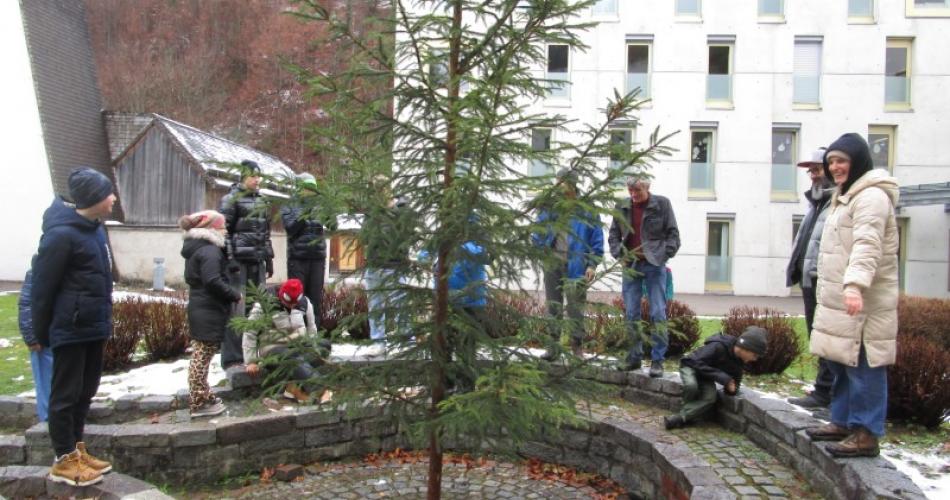Christbaum im Innenhof