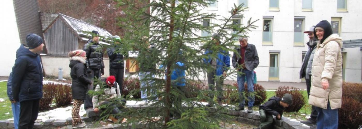 Christbaum im Innenhof